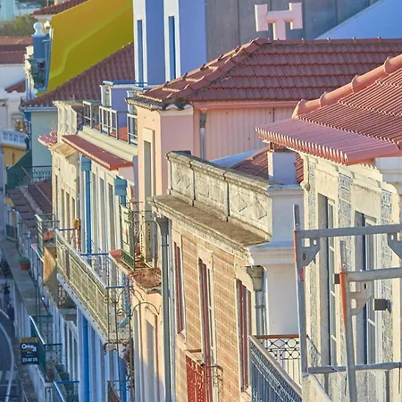 Apartment Five Stars Bica