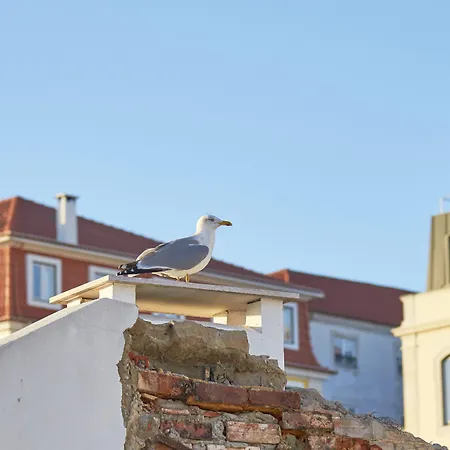 Appartamento Five Stars Bica